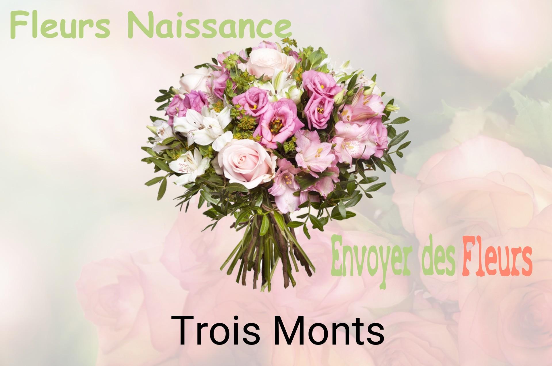 Bouquet de fleurs de naissance livré à Trois-Monts